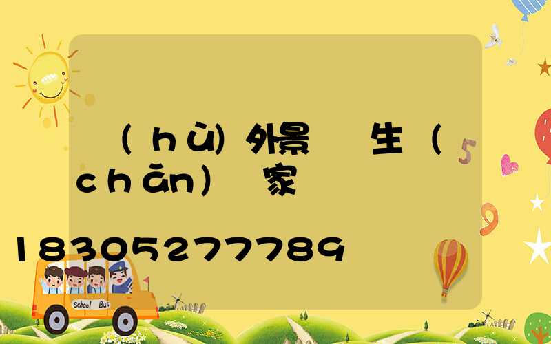 戶(hù)外景觀燈生產(chǎn)廠家