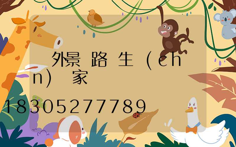 戶外景觀路燈生產(chǎn)廠家