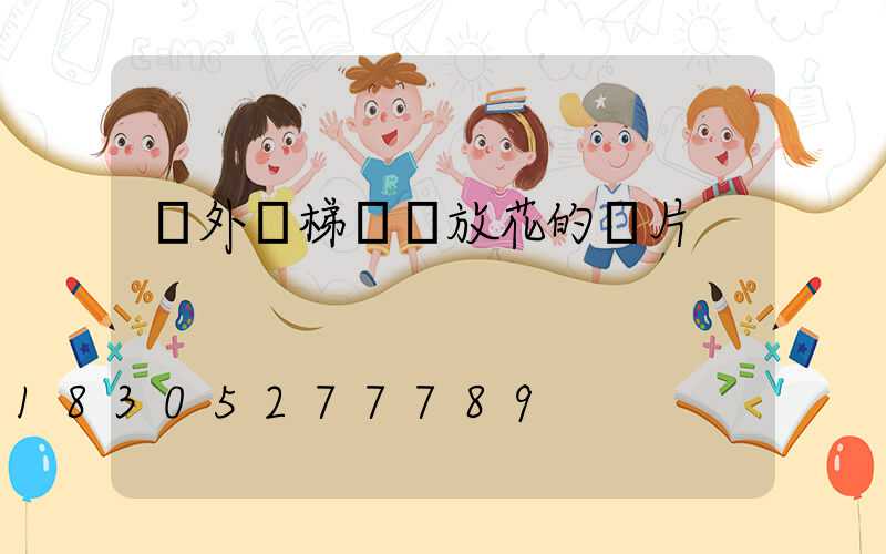 戶外樓梯臺階放花的圖片