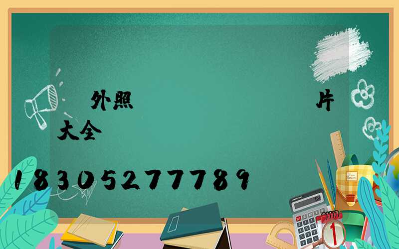 戶外照樹(shù)燈圖片大全