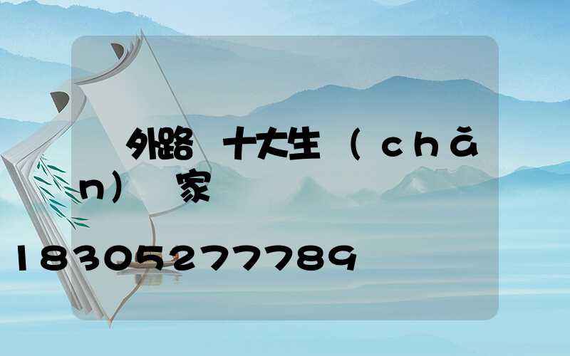 戶外路燈十大生產(chǎn)廠家
