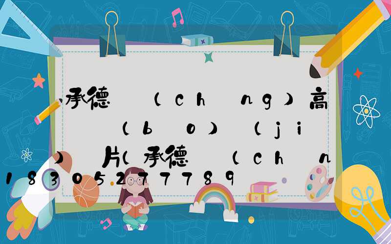 承德廣場(chǎng)高桿燈報(bào)價(jià)圖片(承德廣場(chǎng)幾點(diǎn)開門)