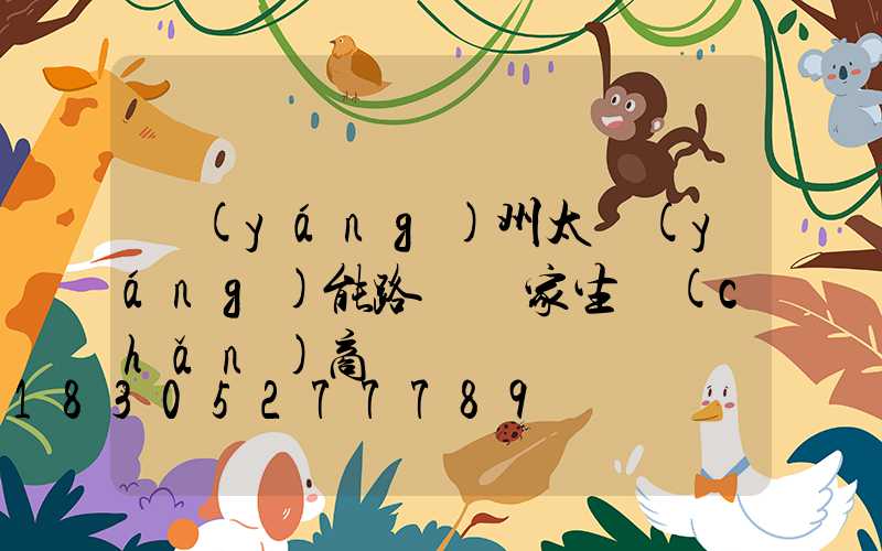 揚(yáng)州太陽(yáng)能路燈廠家生產(chǎn)商