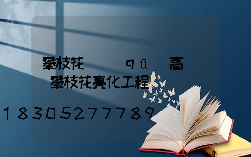 攀枝花廠區(qū)高桿燈(攀枝花亮化工程)
