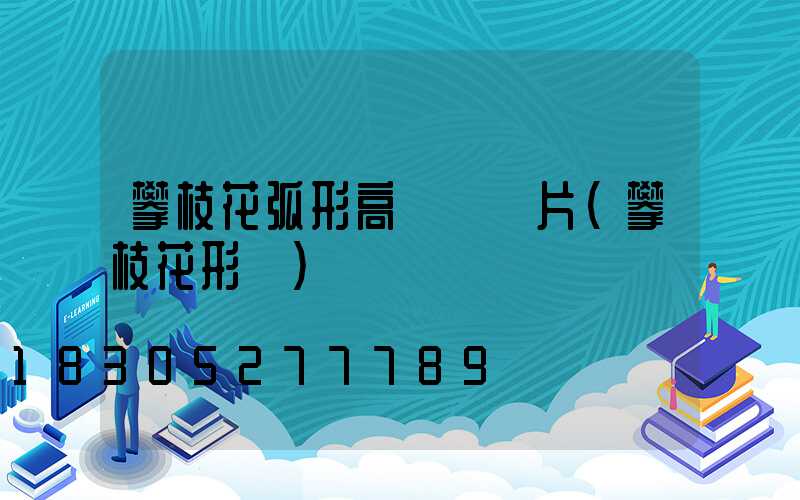 攀枝花弧形高桿燈圖片(攀枝花形狀)