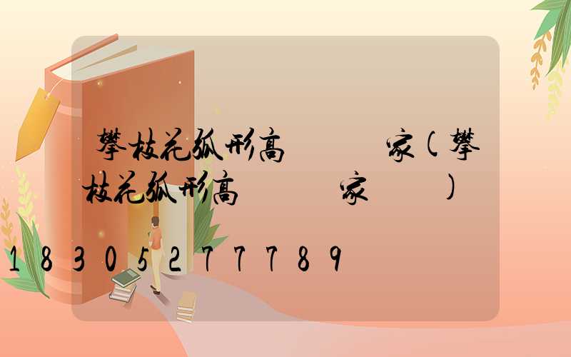 攀枝花弧形高桿燈廠家(攀枝花弧形高桿燈廠家電話)