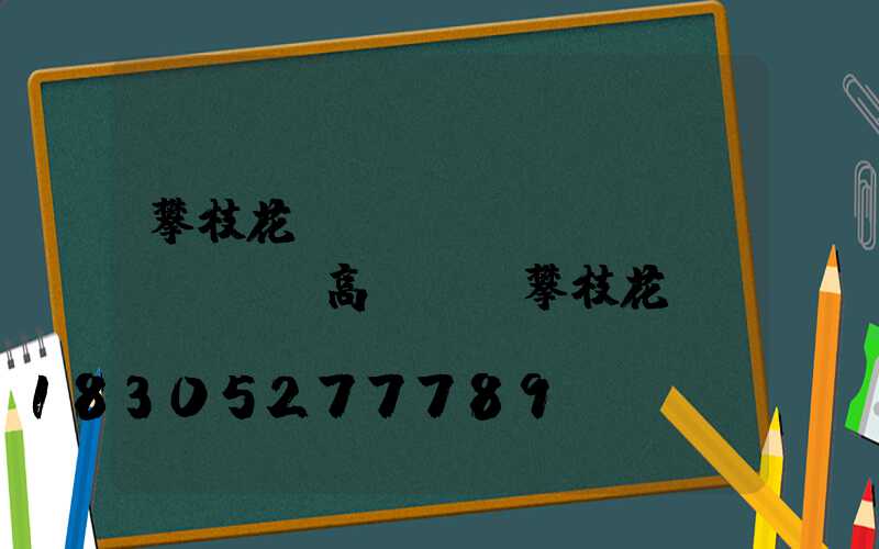 攀枝花機(jī)場(chǎng)高桿燈(攀枝花機(jī)場(chǎng)電話)