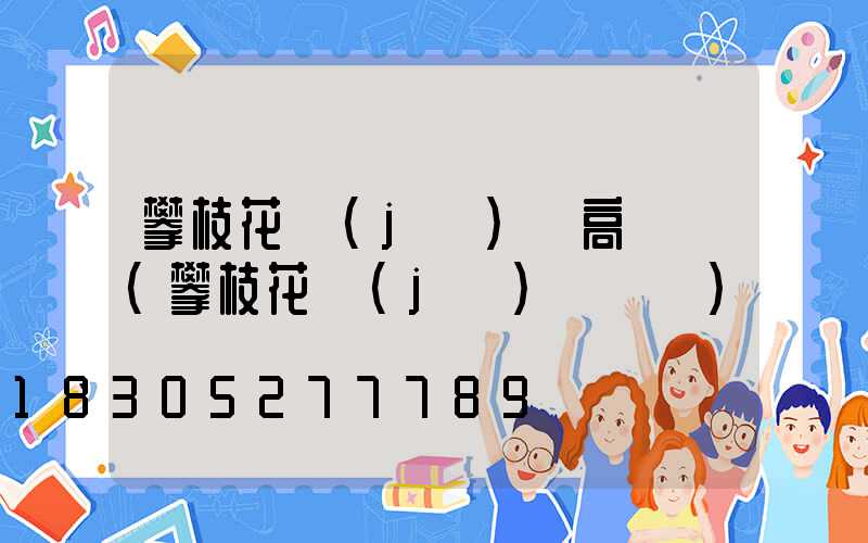 攀枝花機(jī)場高桿燈(攀枝花機(jī)場電話)