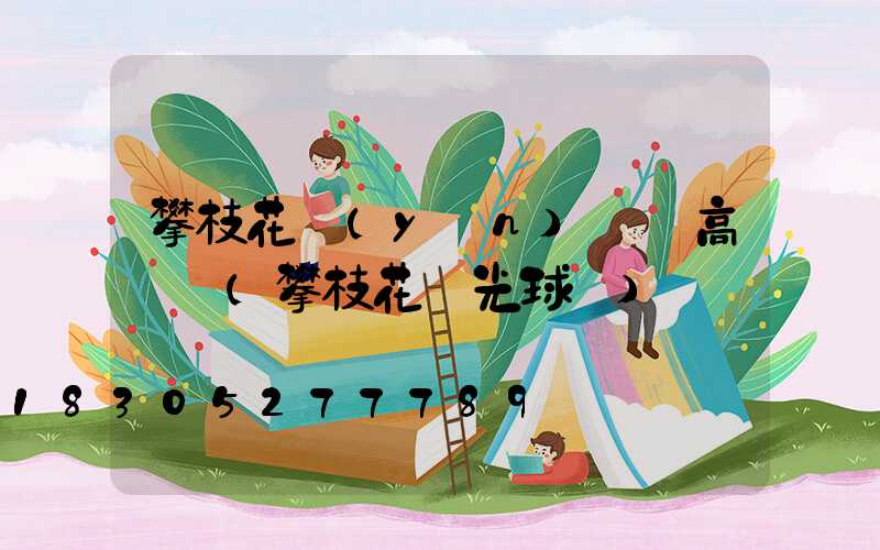 攀枝花運(yùn)動場高桿燈(攀枝花燈光球場)