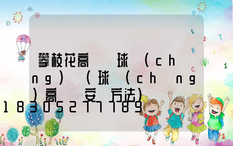 攀枝花高桿燈球場(chǎng)燈(球場(chǎng)高桿燈安裝方法)