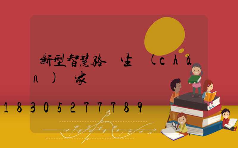新型智慧路燈生產(chǎn)廠家