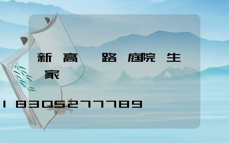 新樂高桿燈路燈庭院燈生產廠家