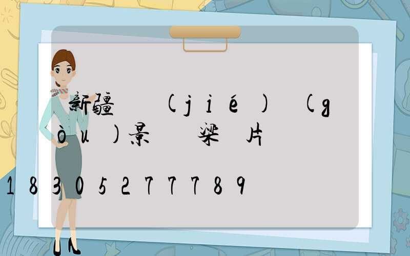 新疆鋼結(jié)構(gòu)景觀橋梁圖片