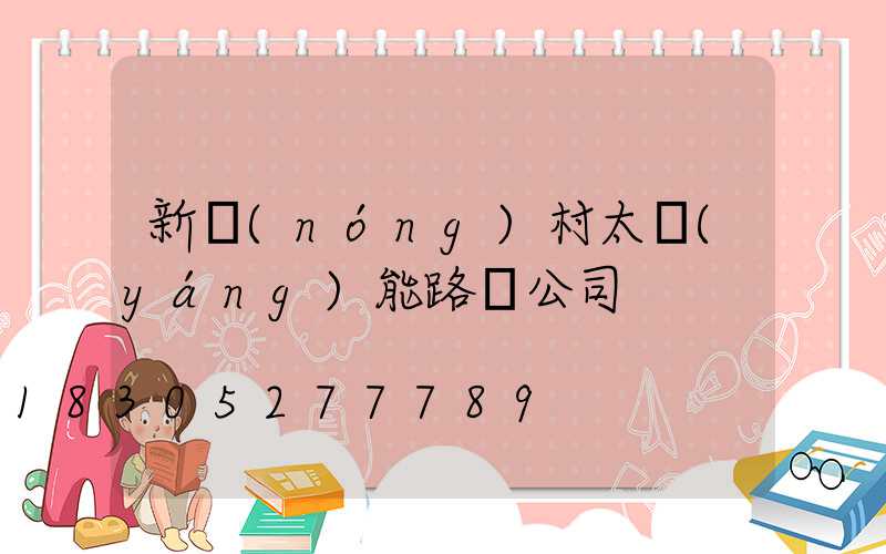新農(nóng)村太陽(yáng)能路燈公司