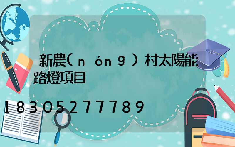新農(nóng)村太陽能路燈項目