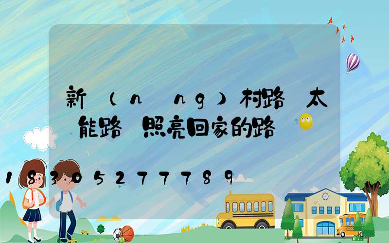 新農(nóng)村路燈太陽能路燈照亮回家的路