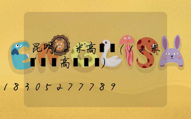 昆明12米高桿燈(12米廣場燈高桿燈圖)