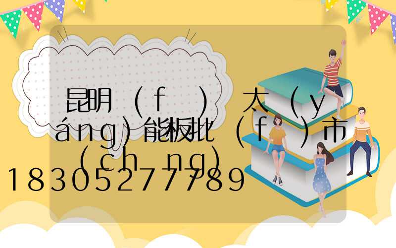 昆明發(fā)電太陽(yáng)能板批發(fā)市場(chǎng)