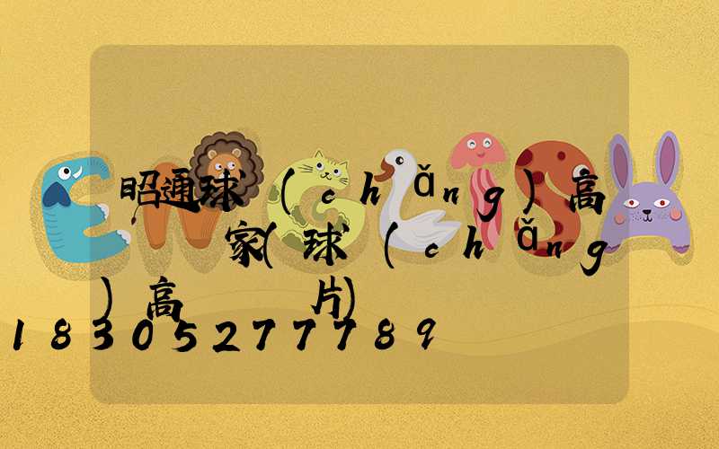 昭通球場(chǎng)高桿燈廠家(球場(chǎng)高桿燈圖片)