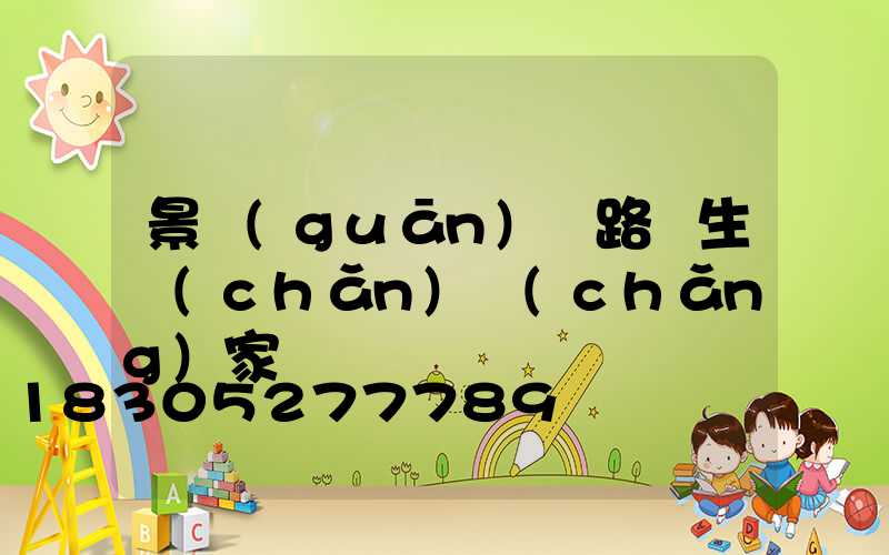 景觀(guān)燈路燈生產(chǎn)廠(chǎng)家