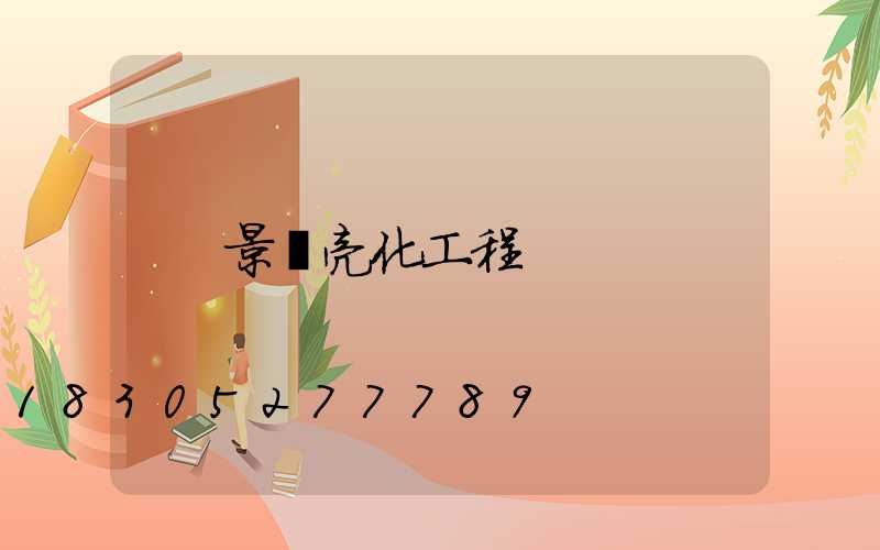 景觀亮化工程