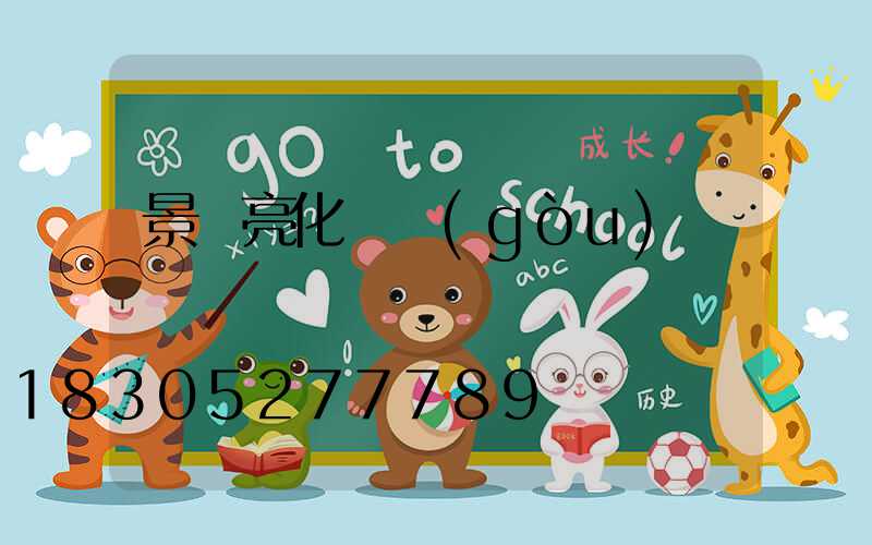 景觀亮化機構(gòu)