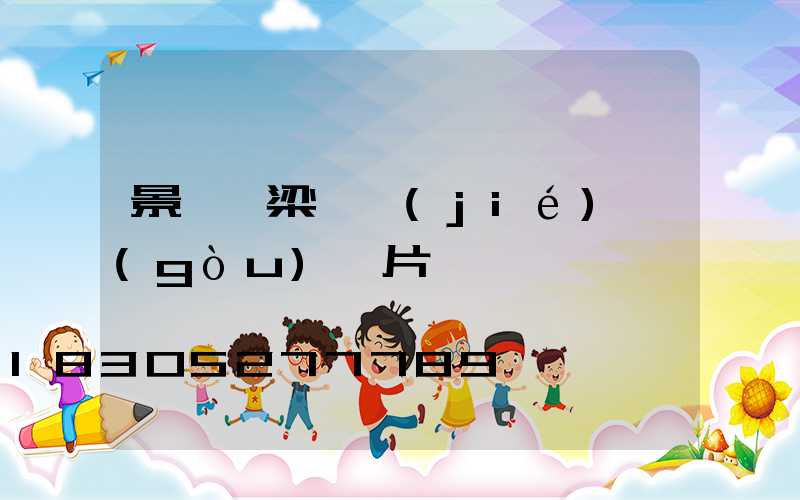 景觀橋梁鋼結(jié)構(gòu)圖片