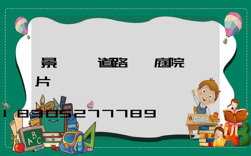 景觀燈,道路燈,庭院燈圖片