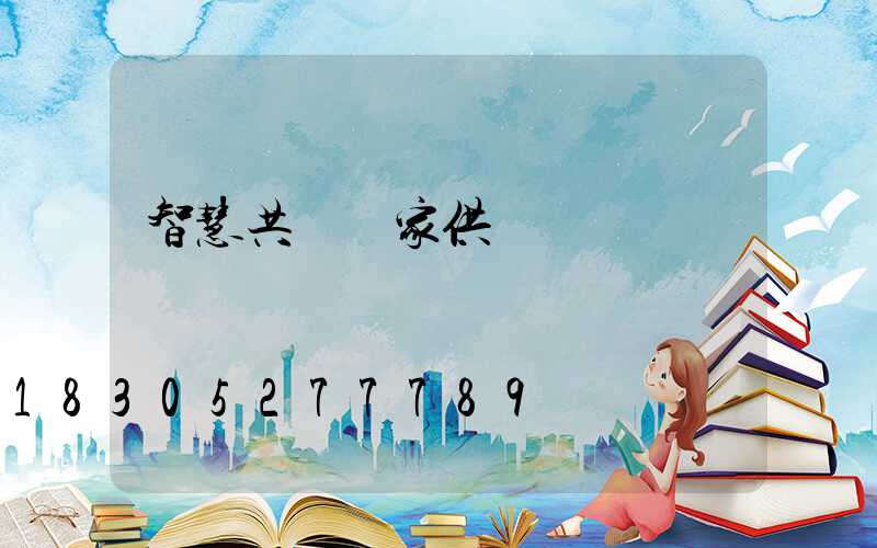智慧共桿廠家供貨