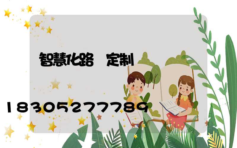 智慧化路燈定制