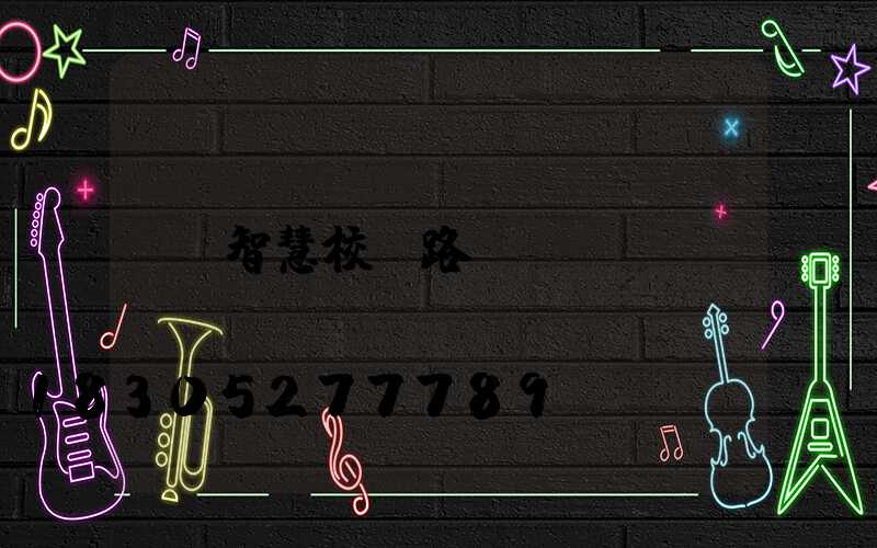 智慧校園路燈