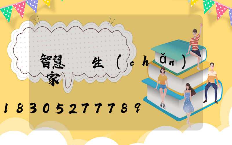 智慧燈桿生產(chǎn)廠家