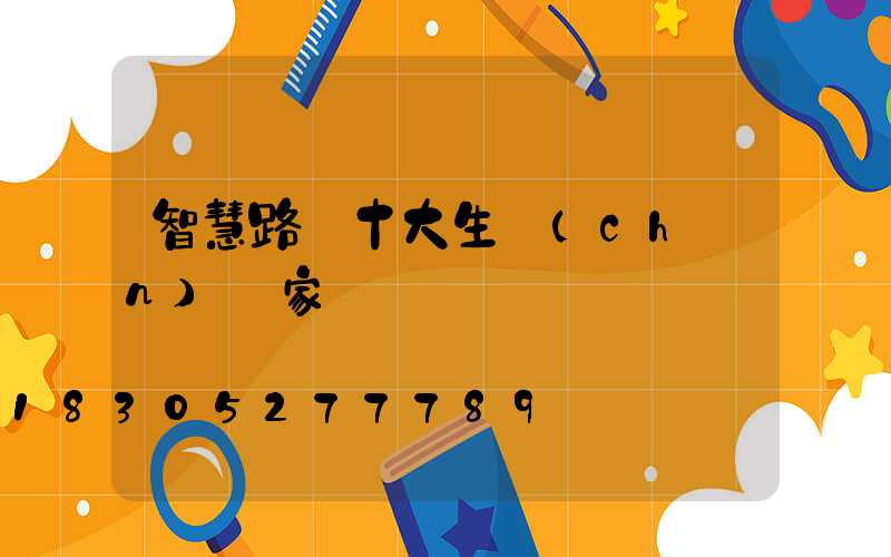 智慧路燈十大生產(chǎn)廠家
