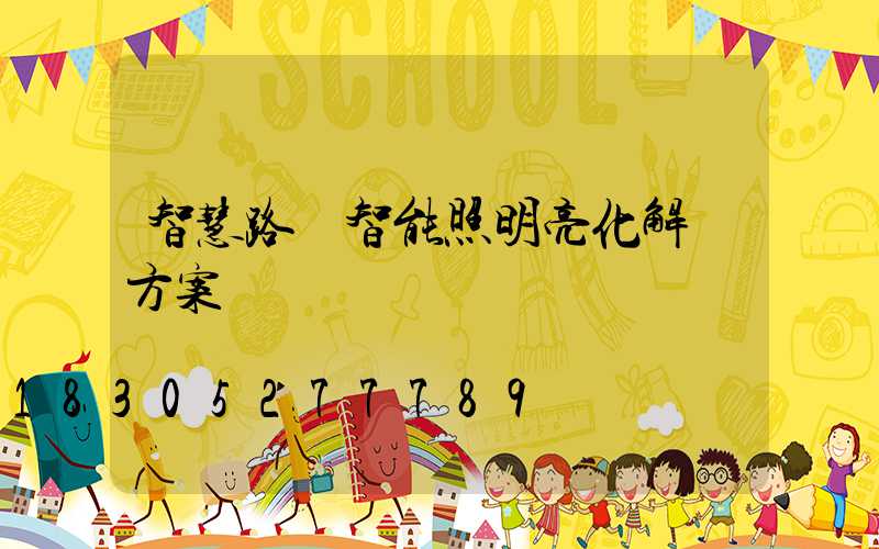 智慧路燈智能照明亮化解決方案