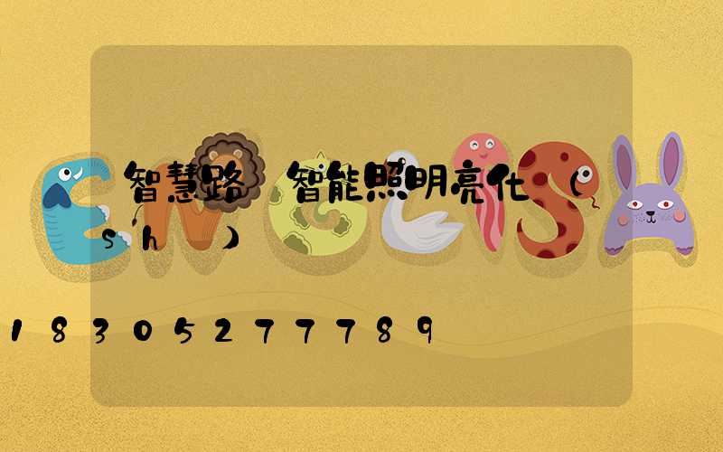 智慧路燈智能照明亮化設(shè)備