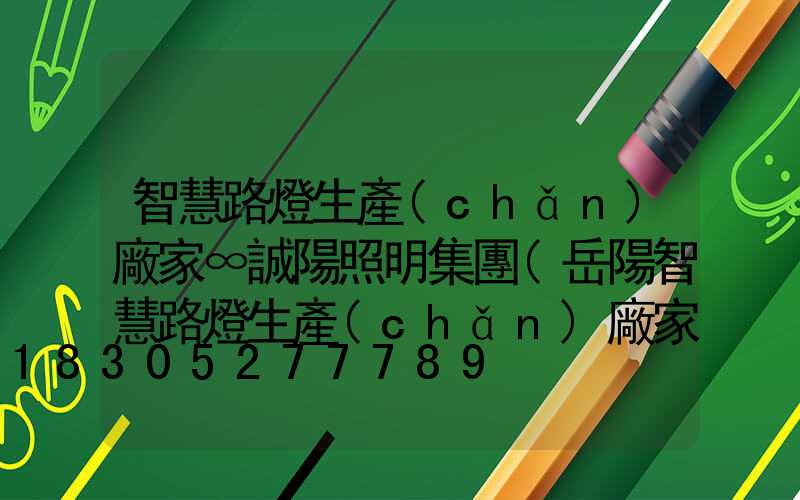 智慧路燈生產(chǎn)廠家∞誠陽照明集團(岳陽智慧路燈生產(chǎn)廠家)