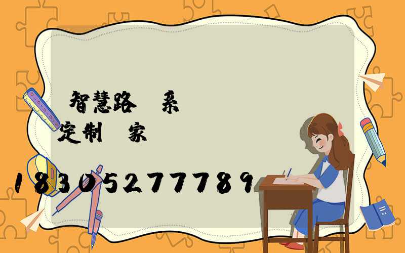 智慧路燈系統(tǒng)定制廠家