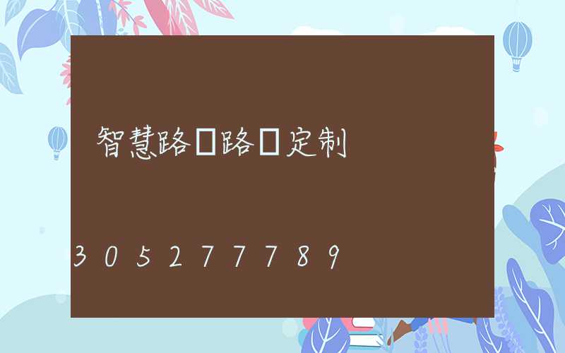 智慧路燈路燈定制