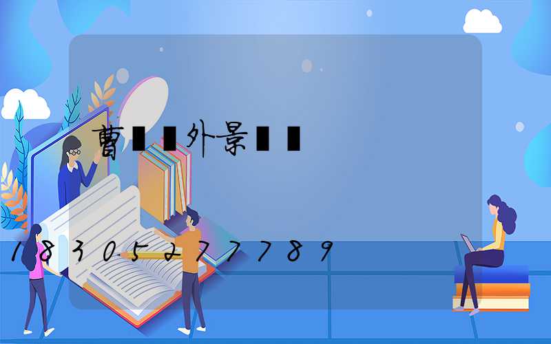 曹縣戶外景觀燈