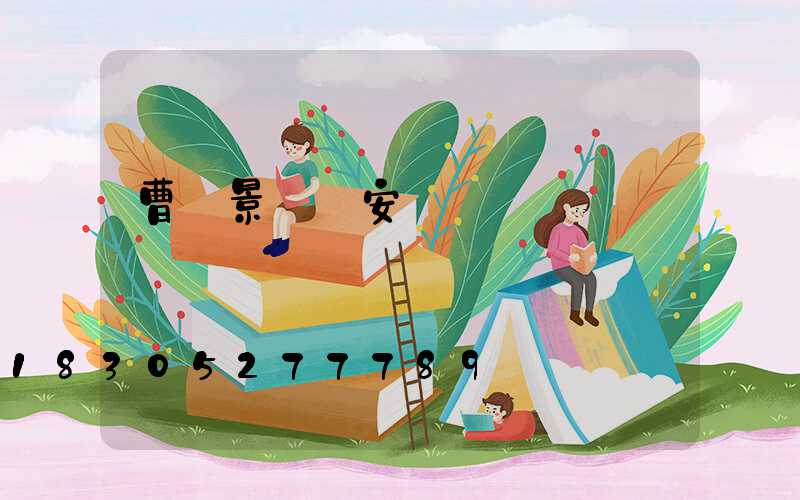 曹縣景觀燈安裝