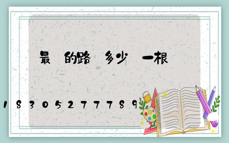 最貴的路燈多少錢一根