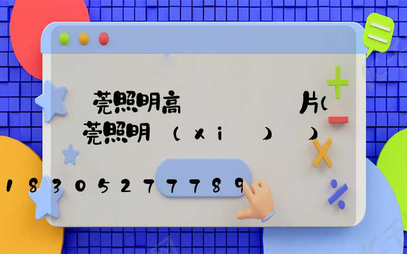 東莞照明高桿燈報價圖片(東莞照明協(xié)會)
