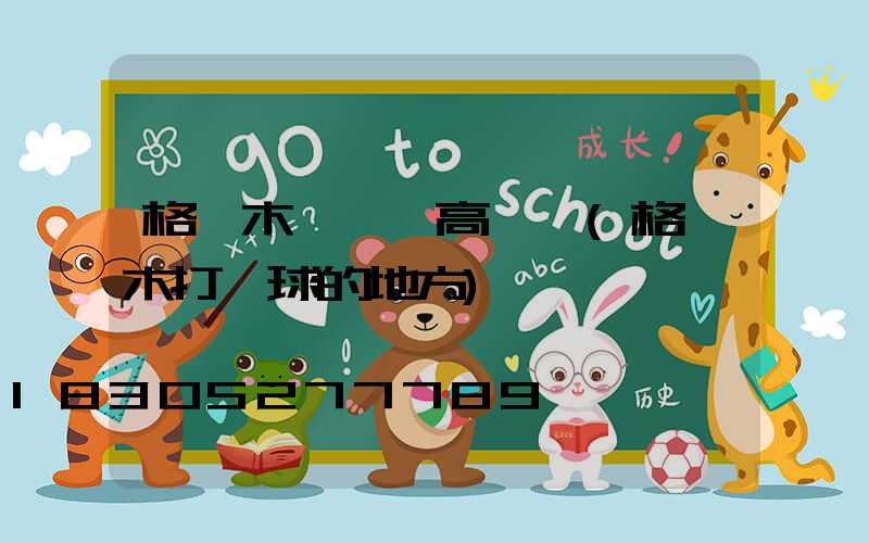 格爾木運動場高桿燈(格爾木打籃球的地方)