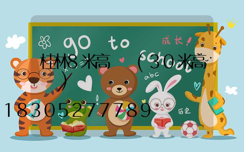 桂林8米高桿燈(30米高桿燈)