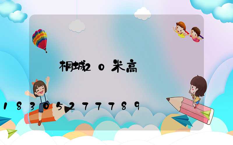 桐城20米高桿燈