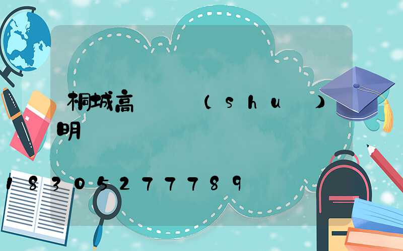 桐城高桿燈說(shuō)明