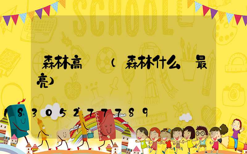 森林高桿燈(森林什么燈最亮)
