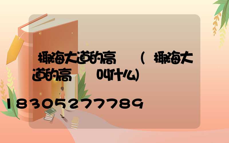 椰海大道的高桿燈(椰海大道的高桿燈叫什么)