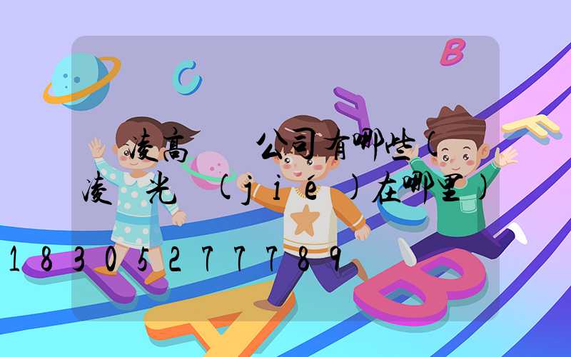 楊凌高桿燈公司有哪些(楊凌燈光節(jié)在哪里)