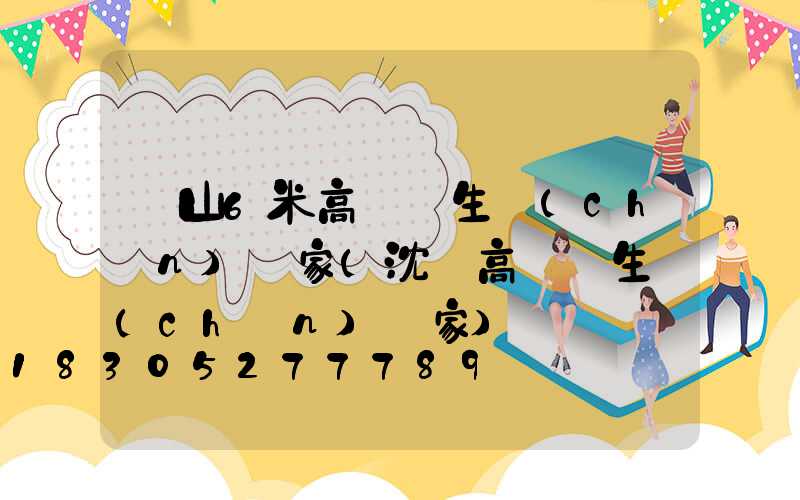 樂山6米高桿燈生產(chǎn)廠家(沈陽高桿燈生產(chǎn)廠家)